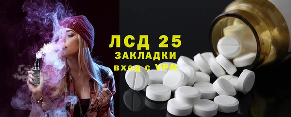 ПСИЛОЦИБИНОВЫЕ ГРИБЫ Ельня