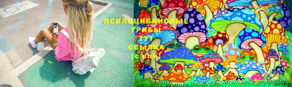 PSILOCYBIN Абинск