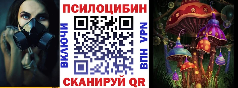 ссылка на мегу рабочий сайт  Тамбов  Галлюциногенные грибы Magic Shrooms 