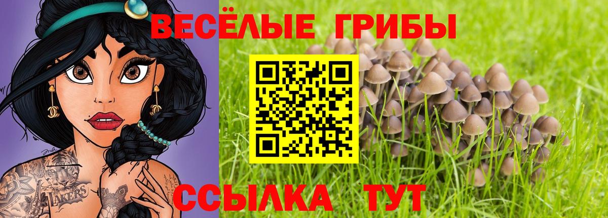 Галлюциногенные грибы мухоморы  Вход с VPN  Псилоцибиновые грибы Psilocybe  Тамбов 