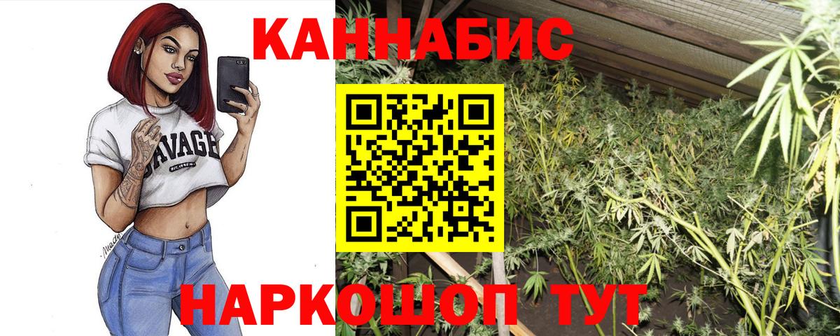 Канабис конопля  Вход с VPN  Тамбов  Канабис Bruce Banner 